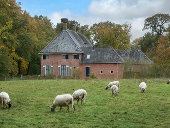 5 Tage in der niederländischen Provinz Drenthe