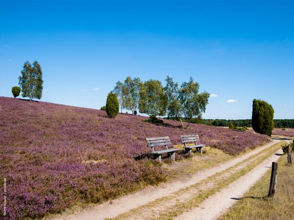 2 Tage Kulinarische Heide-Highlights in Adendorf, Niedersachsen inkl. Halbpension