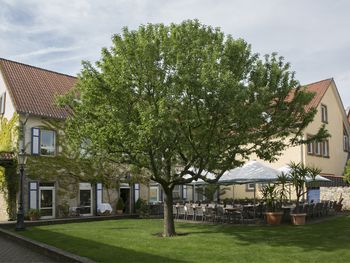 Winterliche Träumerei im Weinberg