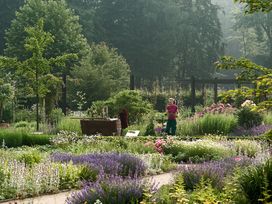 5 Tage Ausflugstraum nahe dem Teutoburger Wald