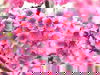 Test Kontingente EZ und DZ
