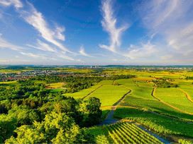 5 Tage „E-Bike Escape“- der Fahrradtrip im Heilbronner Land