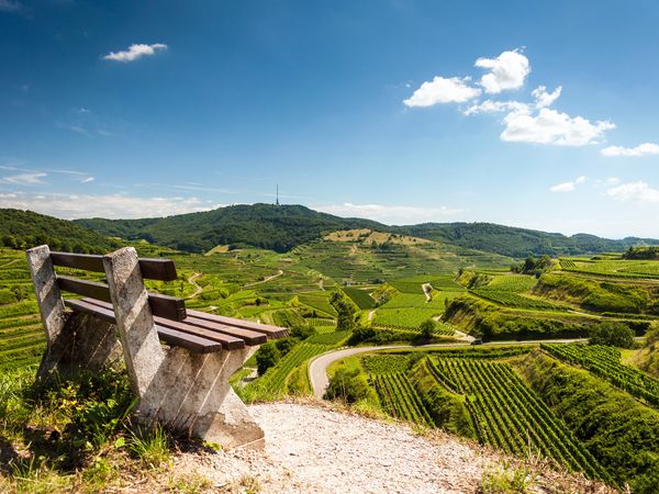 7 Tage - 7 Touren in Vogtsburg-Burkheim, Baden-Württemberg inkl. Halbpension