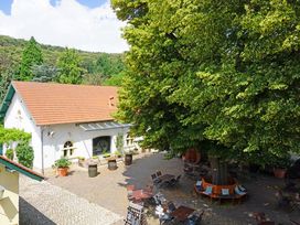 Romantik im Weingut: 
