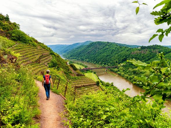Weinromantik & Gaumenfreuden – ein Mosel-Wochenende voller Genuss