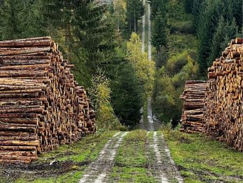 Wanderung Harzer Grenzweg & Dampfzug-Fahrt / 3 Tage