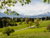 See-Tage 4=3 Special am Forggensee