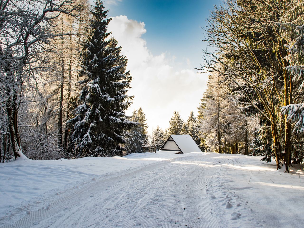 Faszination Thüringer Wald - 4 Tage inkl. Halbpension