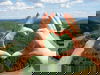 3 Tage Auszeit mit Zoo und Wellness im Saarland