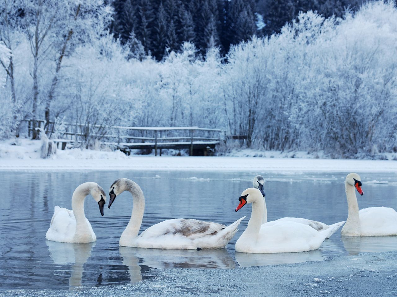 Ostfriesen Winterschnäppchen - 5 Tage inkl. HP plus