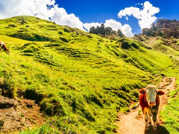 6 Tage Urlaub im wunderschönen Südtirol