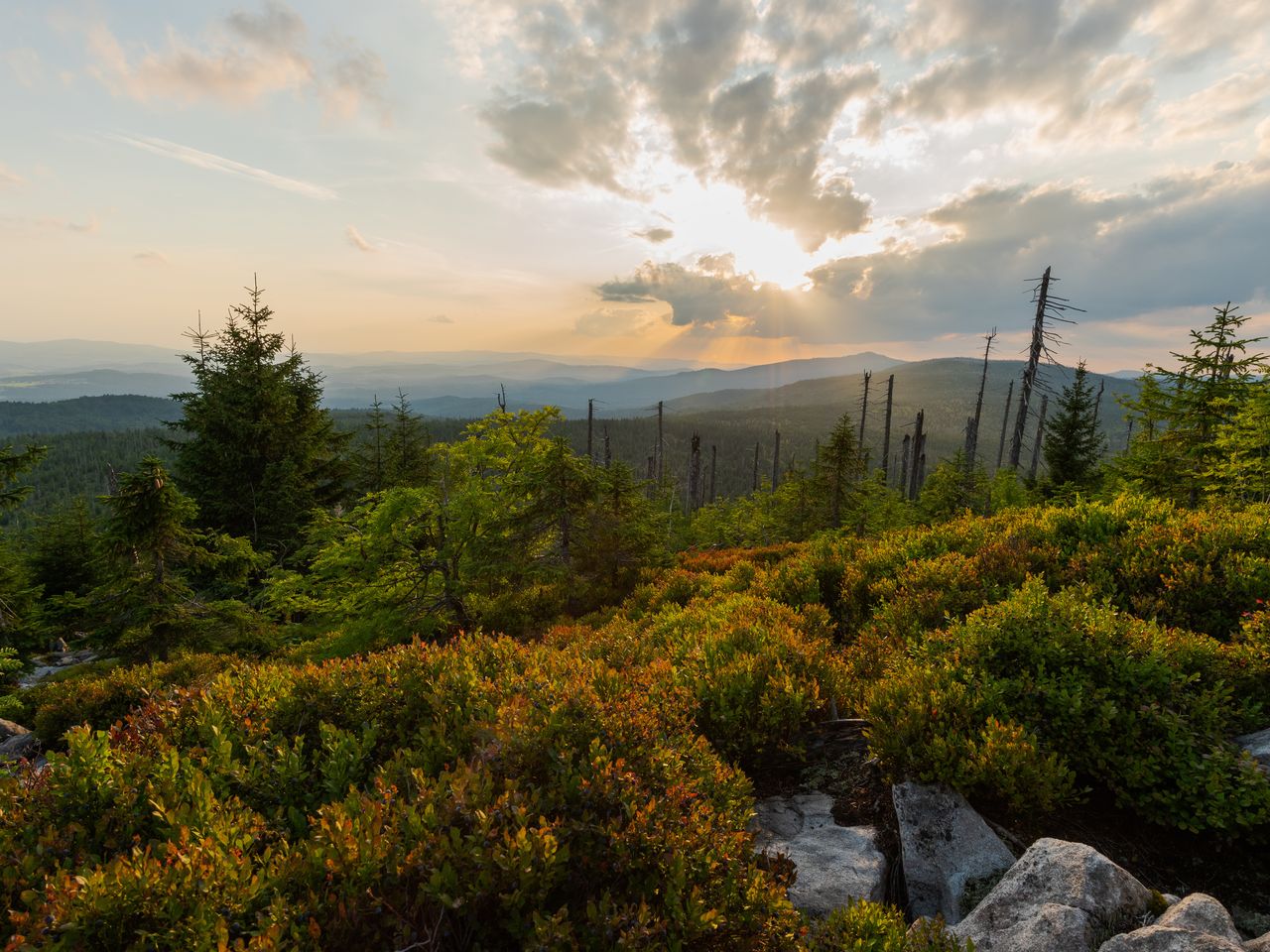 4 Tage Kurzurlaub im Bayerischen Wald