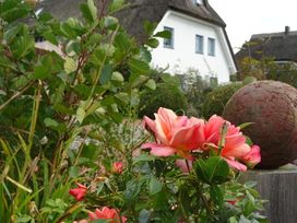 2 Tage in der jüngsten Stadt Rügens mit Frühstück