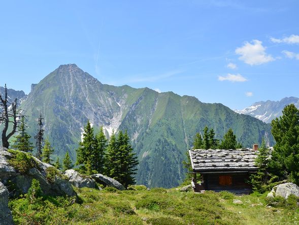 1 Woche Alpenfriede: zwischen Almen & Gipfeln mit AI