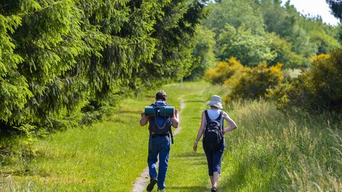 Wandern in der Pfalz