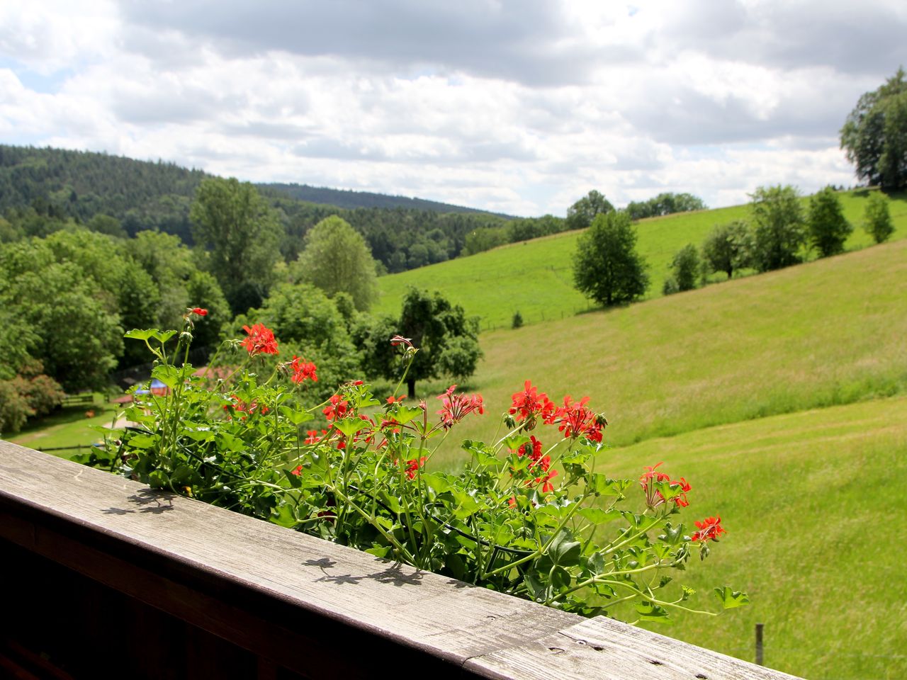 Pfingsten im Natur & Wander Hotel Gassbachtal