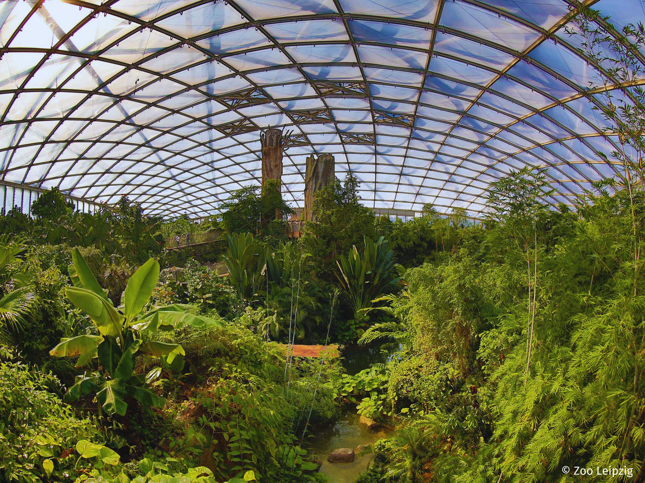 Auf Safari im Zoo Leipzig | 2 Tage Zooabenteuer