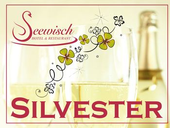 Silvesterfeier am Schweriner See