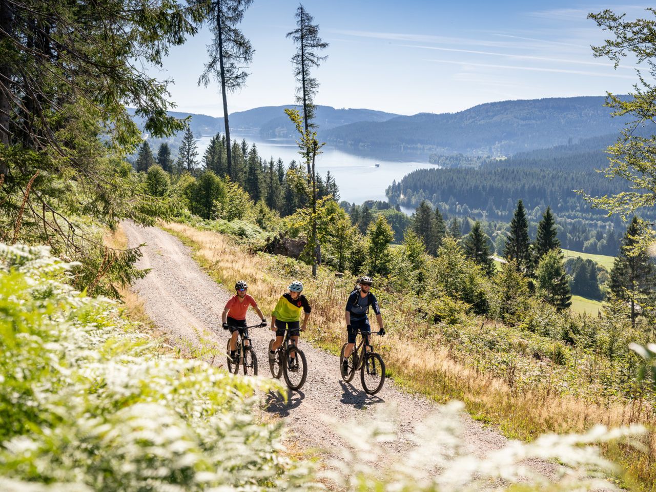 Aktiv im Schwarzwald: 5 Tage am Notschreipass