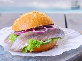 3 Tage Auszeit in Barth: Zwischen Ostsee und Pferden