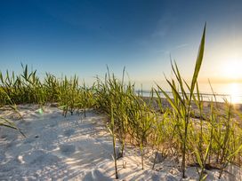 3 Tage Auszeit in Barth: Zwischen Ostsee und Pferden