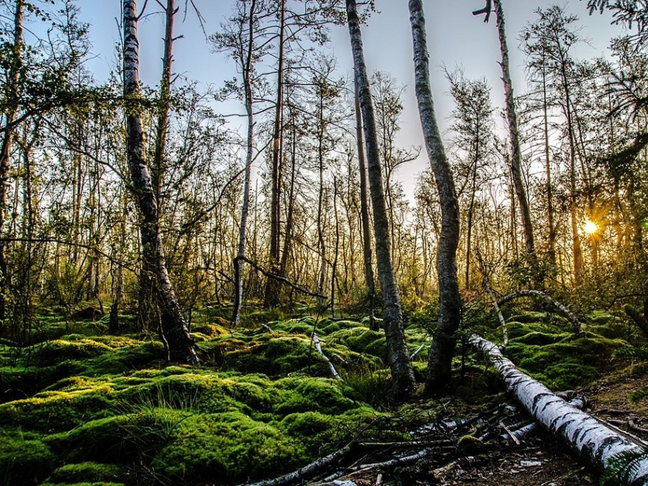 6 Tage Erholung im Schwarzwald