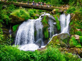 Wanderlust im Schwarzwald