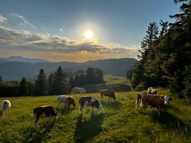 3 Schnuppertage im idyllischen Südschwarzwald