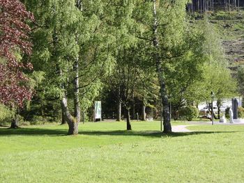Auszeit - Natur 4 Tage mit Frühstück im Alpenlandhof