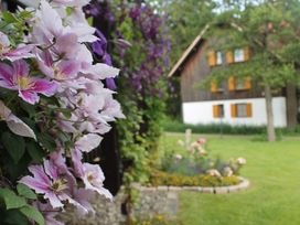 Ruhe im Harz - 3 Tage Erholung & Sport in Braunlage