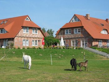 Ferien an der Müritz - 7 Nächte