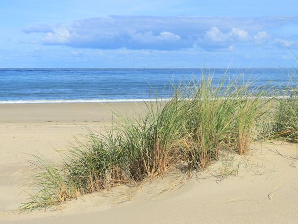 4 Tage Nordsee & Den Haag genießen mit Frühstück