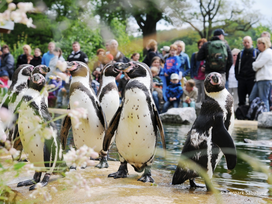 Tierpark Sababurg mit Hotel