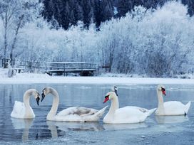 Winterschnäppchen am Beetzsee - 5 Tage inkl. HP plus