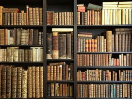 Safari & Sächsischer Genuss - 3 Tage Leipzig