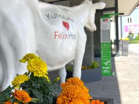 Dein Radl-Glück im Allgäu - Bike, Eat, Sleep & Repeat