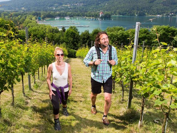 3 Tage Wörthersee-Wandertage: Stadt, Wald & See