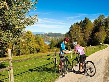Bild 145 von 251