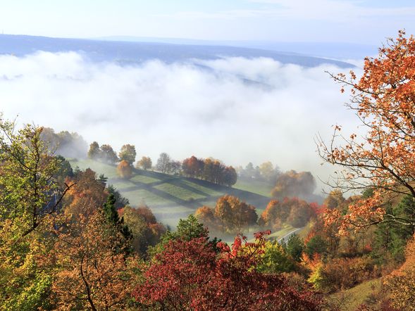 Erkunden Sie Jena! 4 Tage Städtetrip