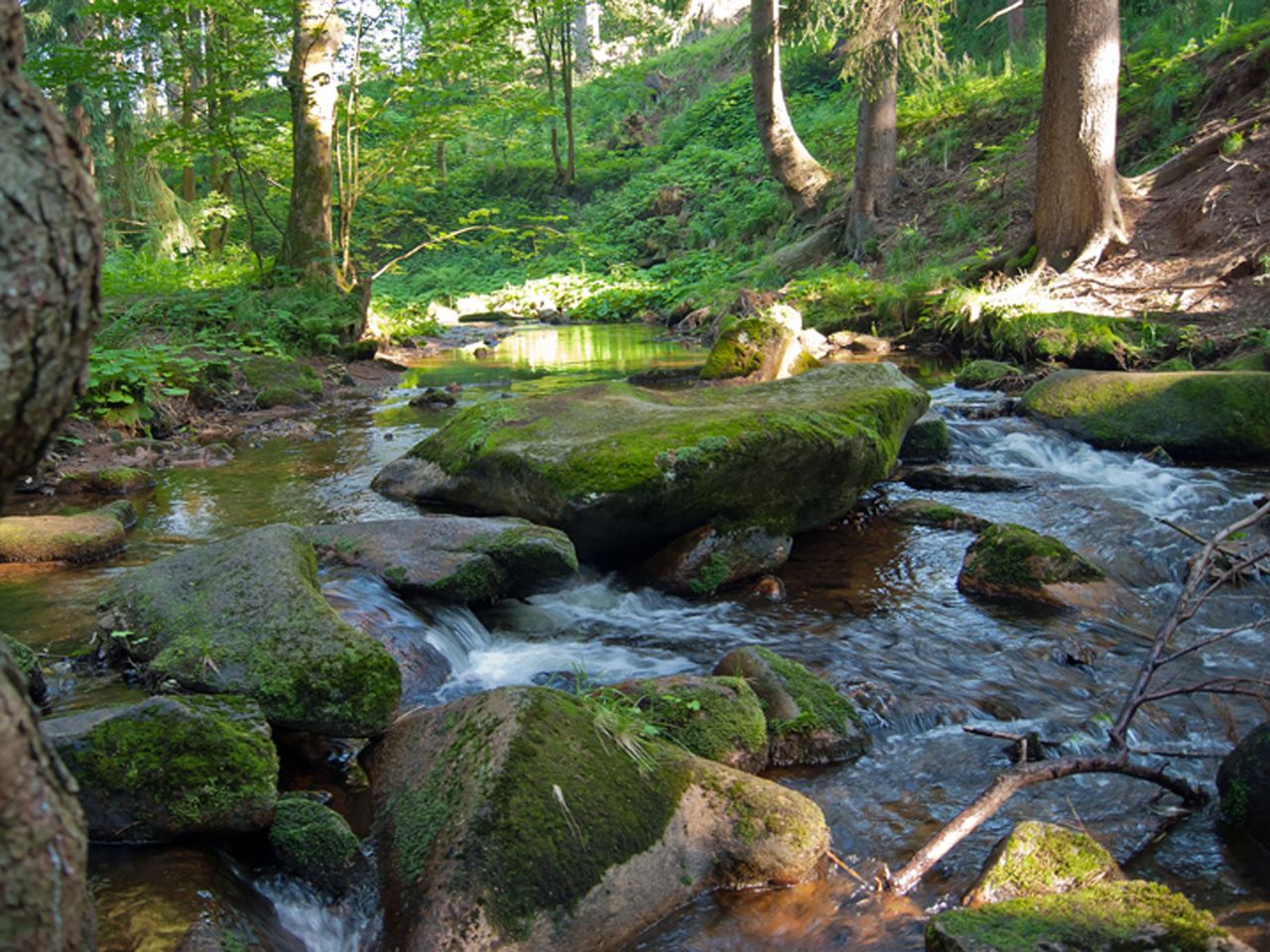 5 Tage Harz-Schnäppchen inkl. Halbpension plus