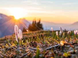 Entdeckungstour durch Detmold