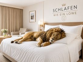 3 Tage Schlafen wie ein Löwe in Braunschweig