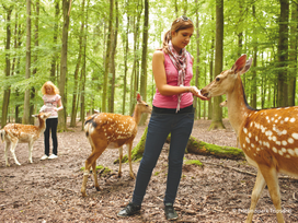 Erlebnispark Tripsdrill mit Tickets und Hotel