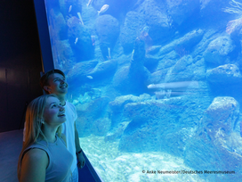 Meeresmuseum Stralsund mit Ticket und Hotel