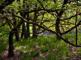 Urlaub im Nationalpark De Meinweg - 7 Tage