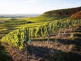 2 Tage im Vital Hotel An Der Therme in Bad Windsheim