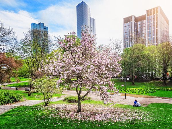 2 Tage Wellness trifft City: Frankfurtzeit mit Taunus Therme in Frankfurt am Main, Hessen inkl. Halbpension