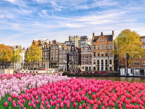 Amsterdam: 3-Tages-Paket mit Rad, Lunchpaket & HP, Nordholland (Noord-Holland) inkl. Halbpension Plus