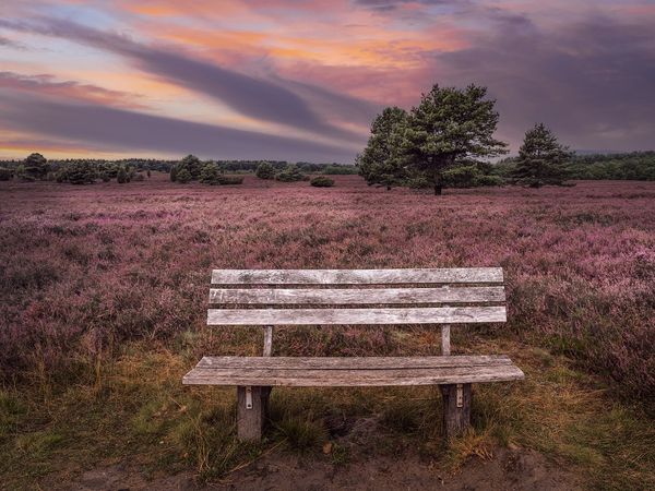 7 Tage Alles Heide 7 Nächte in Bad Bevensen, Niedersachsen inkl. Halbpension