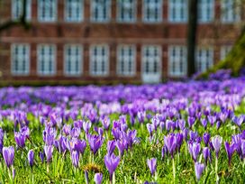 3 Tage Auszeit an der Nordsee in Husum